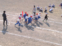 PA248774