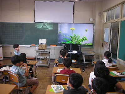 2年国語1
