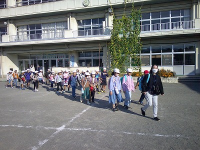 3年1