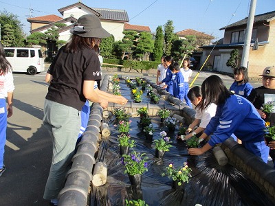 花のゆりかご (3)