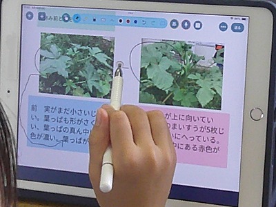 ３年2