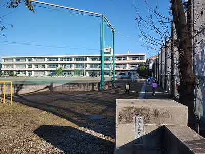 朝の風景2