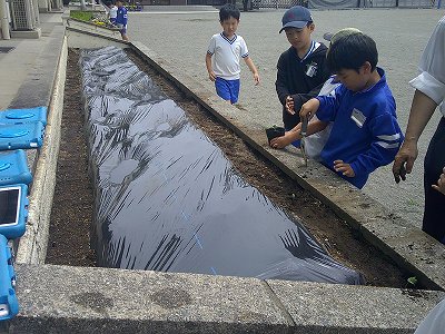 ２年４