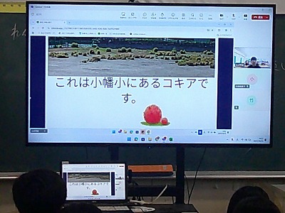 ５年７