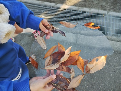校庭の氷 (2)