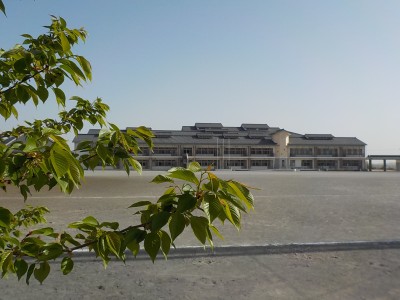 DSCN0045
