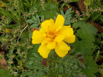 DSCN8705