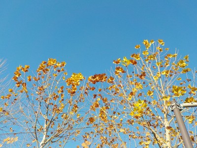 DSCN9450