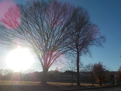 DSCN9978
