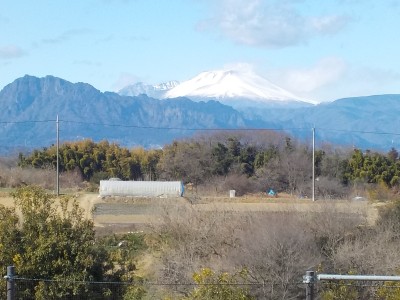 DSCN0029