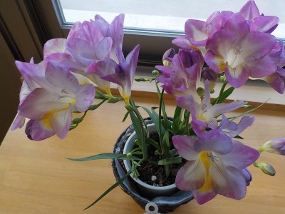 DSCN0670