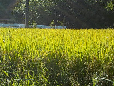 DSCN6220