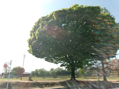 100_1806