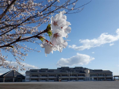 DSCF2290