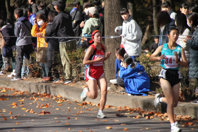 IMG_722533333333333333333333333