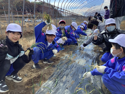 3年松組_その他_豊島大地_なんでも_123