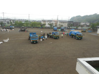 DSCN8239
