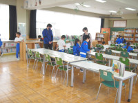 P5231904