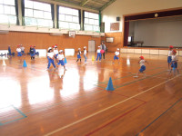 P5272052