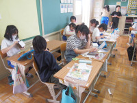 P5292211