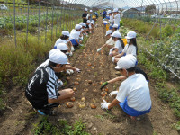 DSCN8253