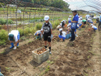 DSCN8261