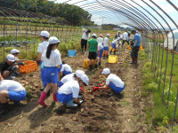 DSCN8262