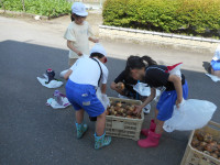 DSCN8279