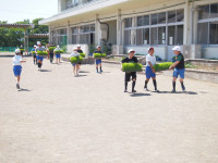 P6052579