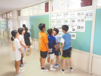 P6233448
