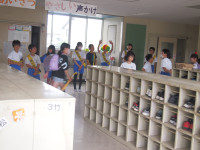 P6263664