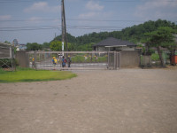 P7034104
