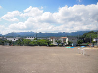 P7314941