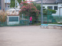 P8284947