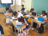 P9095332