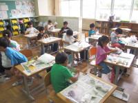 P9125648