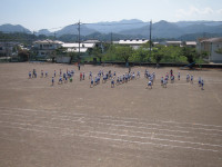 P9175834