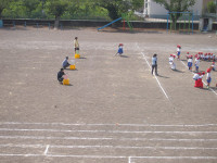 P9185919
