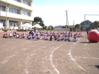 P9266266
