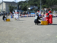 IMG_0955
