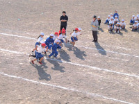 PA248768