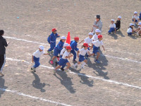PA248769