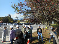 DSCN8375