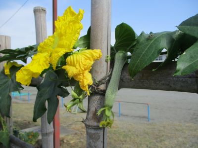 IMG_6589