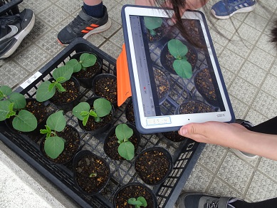 Seed Box Preparation